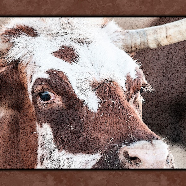 LONGHORN CLOSEUP Quilt Panel of Actual Photography taken and Digitally Printed