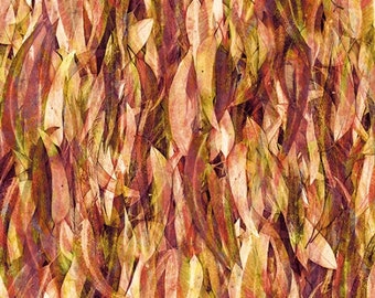 Hoffman fabric Spectrum called  Spice  Brown and Gold colors  BTY