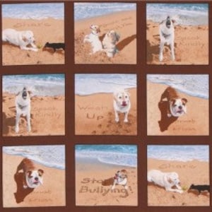 May include: A collage of fifteen square images featuring dogs on a beach. The dogs are various breeds and colors, interacting with the sand and water. Some images include the phrases "Stop Bullying" and "Wash Up" written in the sand.
