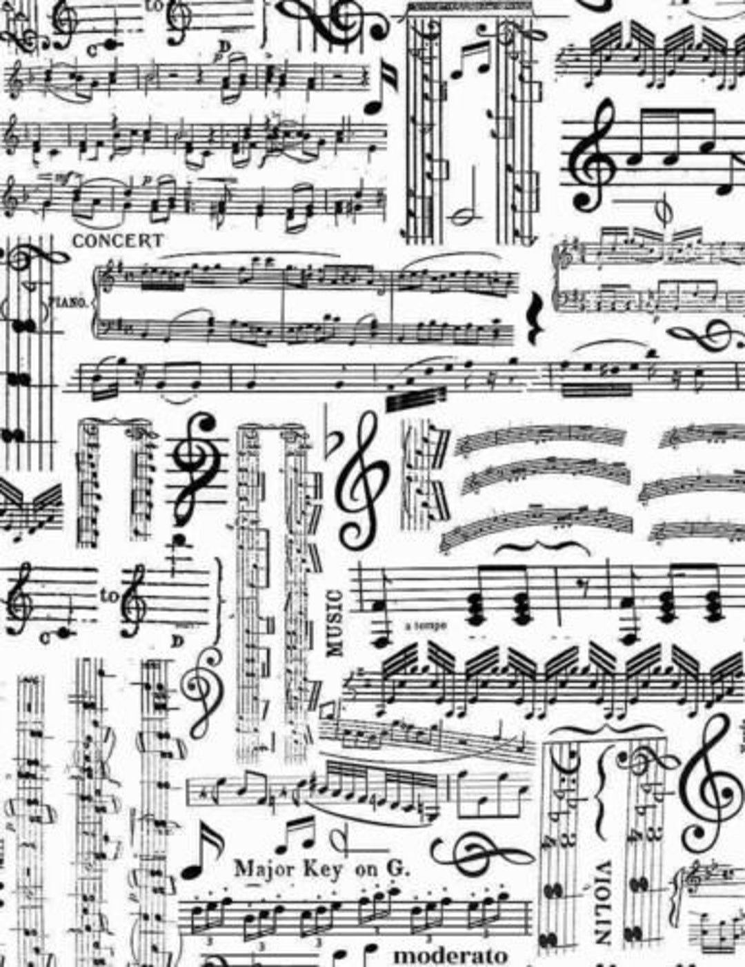 Timeless Treasures C7584 Music Notes Sheets- White Background With ...