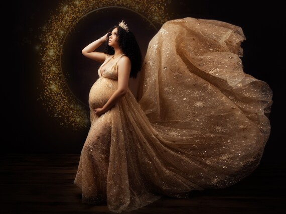 Sequin and tulle maternity dress sales
