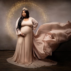 Blush Maternity Dress with Chiffon Train: Long Sleeve Photo Shoot Gown