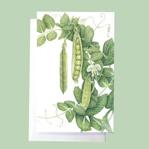 Carte d’art Green Arrow Peas (vierge à l’intérieur) Carte de note