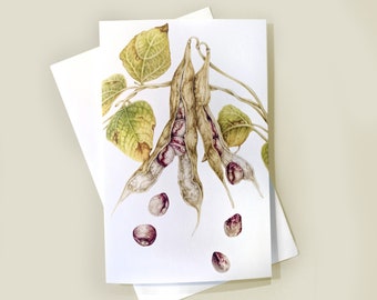 Mayflower Bean Art Card (Blank Inside) Nota Card