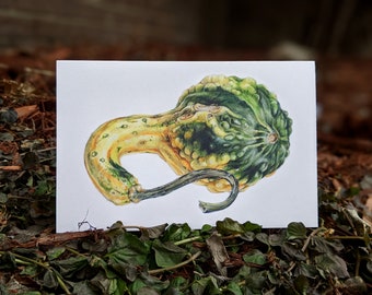 Heirloom Gourd Art Card (Blank Inside) Note Card