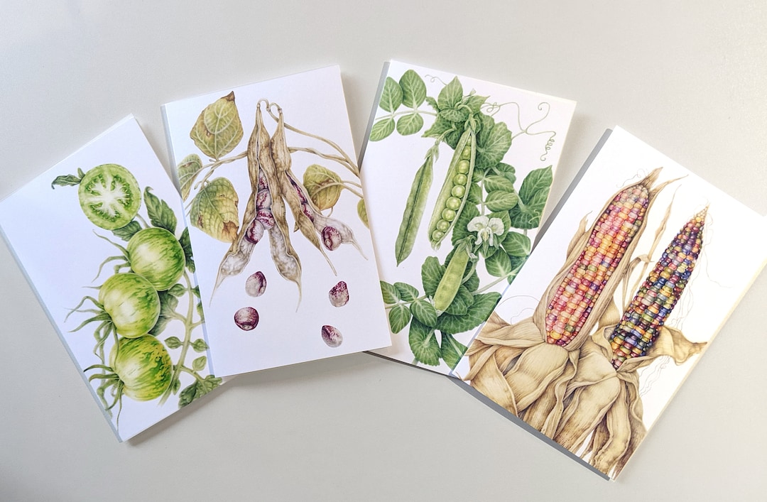 Garden Botanical Art Card Pack (4 Blank Note Cards) - Etsy