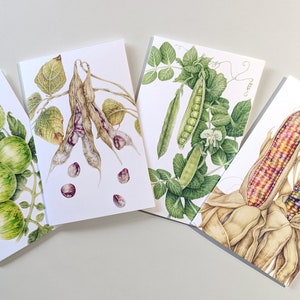 Garden Botanical Art Card pack (4 blank note cards)