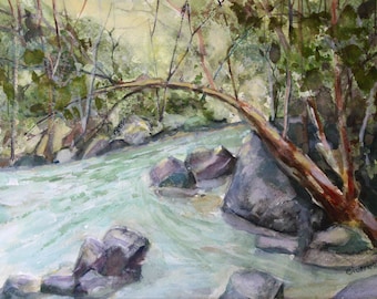 May include: A watercolor painting of a river flowing through a forest. The river is a light blue-green color and the water is flowing quickly. There are large rocks in the river and the trees on the banks are a dark green color. The painting is done in a realistic style.