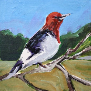 Red Headed Woodpecker, Original Acrylic Painting of a Flicker Woodpecker, 6 x 6 canvas, Gallery Wall Decor, Bird Paintings Home Decor