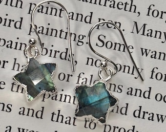 Labradorite Star Gemstone Huggy Hoops, dangle earrings, pendant chain necklace or jewellery gift set.