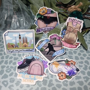 10 things I hate about you Stickers, 6 pack, gloss vinyl waterproof permanent stickers, shakespeare, heath ledger, teen rom com, film