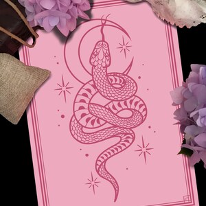 May include: A pink print with a red snake wrapped around a crescent moon with stars. The snake is detailed with scales and a pattern of smaller moons.