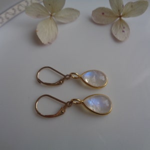 Moonstone Earrings, Gold Filled, Drop, LU-0168