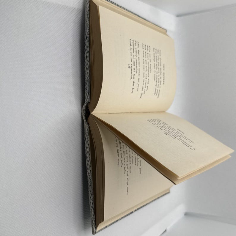 Poemas de Ralph Waldo Emerson. T.Y. Crowell & Company, Nueva York (1899). Relieve. imagen 14