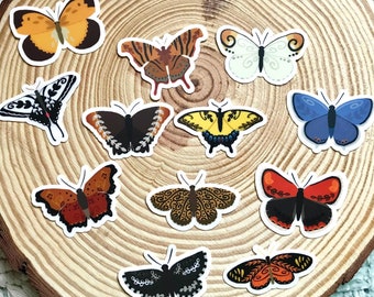 Butterfly Species Vinyl Sticker: Cottagecore Folk Art Decal