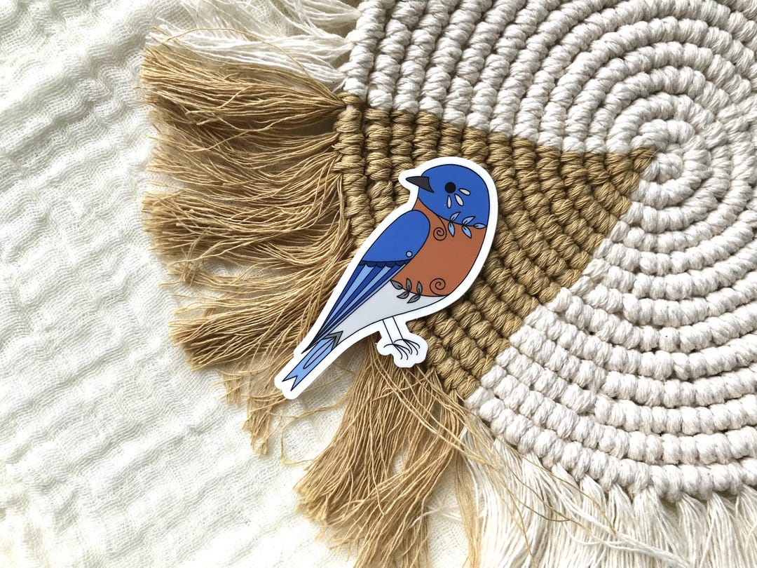 Eastern Bluebird Vinyl Sticker: Bird Field Journal Decal - Etsy