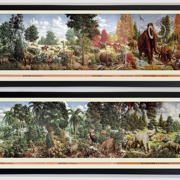 Age of Mammals Mural By Zallinger Peabody Museum Framed & Matted Prints