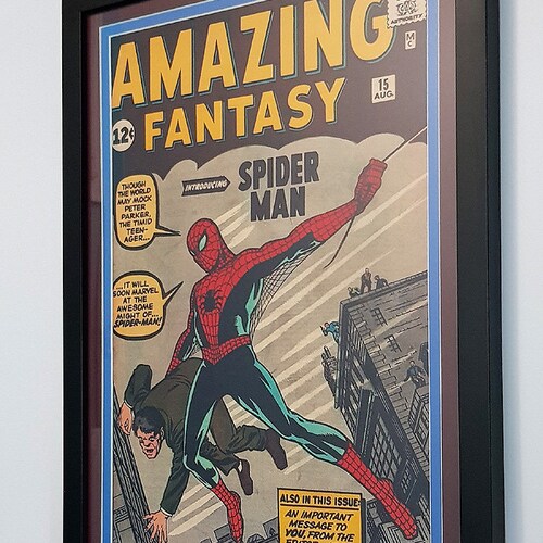 SPIDERMAN Inspired Black & White Minimalist Movie Poster Etsy