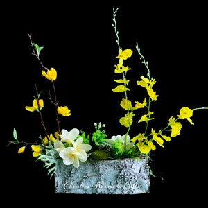 Rustic Orchid Birch Box