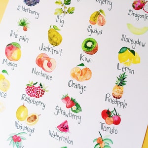 Fruit ABCs Watercolor Illustration Art Print Alphabet Art Print/Poster Unframed image 4