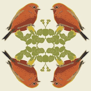 Ākepa | Fine Art Print | Hawaii | Bird | Hawaiian Print | Endemic Bird | Hawaiian Bird | giclee print | Big Island | Limited Edition