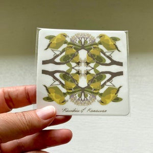 Kiwikiu Sticker | Maui Parrotbill | Vinyl Sticker | Waterproof Sticker | Bird Sticker | Hawaii | 3 Inch Sticker | Endemic Bird Sticker
