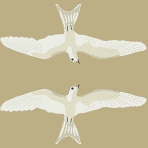 May include: Two white birds with gray wings are flying in opposite directions against a light brown background.