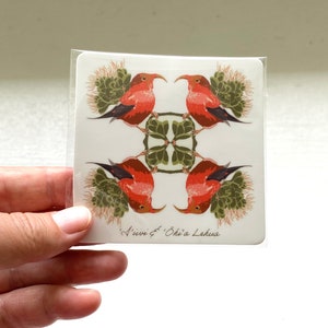 Autocollant I’iwi | | Autocollant vinyle | Autocollant imperméable à l’eau | Autocollant d’oiseau | Hawaï | Autocollant de 3 pouces | Autocollant d’oiseau endémique