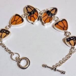 Ship same day. real butterfly bracelet, butterfly wing earrings real butterfly gifts, jewelry with butterfly wings