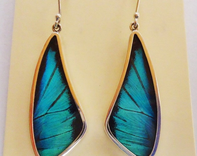 Butterfly Wing Jewelry Real Butterfly Butterfly Wing Etsy