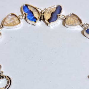 Ship same day. real butterfly bracelet, butterfly wing earrings real butterfly gifts, jewelry with butterfly wings