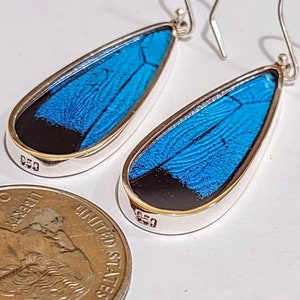 orecchini con ali di farfalla, orecchini con ali di farfalla, veri regali di farfalle, gioielli con ali di farfalla
