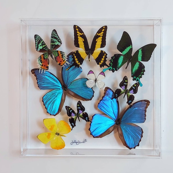 Acrylic Butterfly Etsy