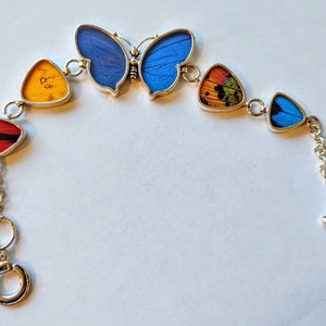 Ship same day. real butterfly bracelet, butterfly wing earrings real butterfly gifts, jewelry with butterfly wings