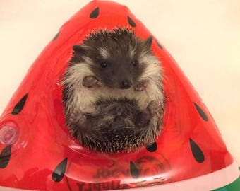 Inflatable Floating Watermelon slice Bath Toy