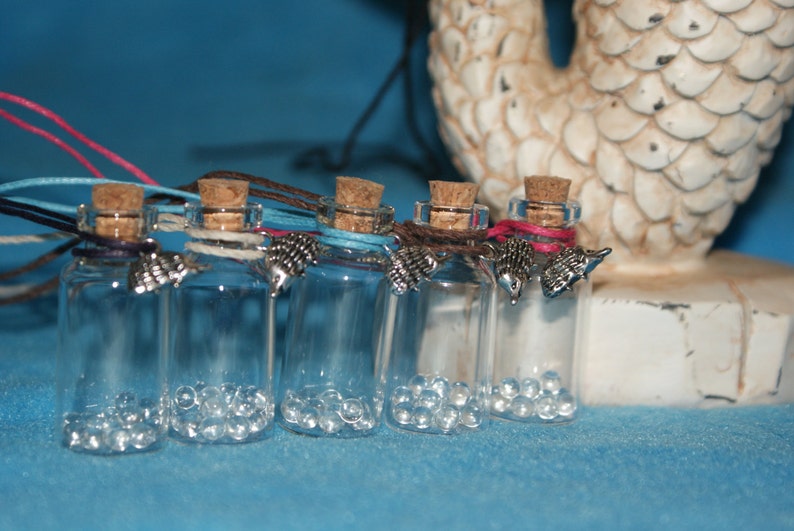 Keepsake Bottle Necklace for your Hedgehog Quills Etsy
