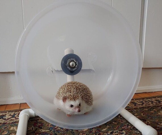 Diy hedgehog litter clearance box