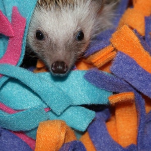 Cuddle Buddy's  for Hedgehogs and other Small Animals