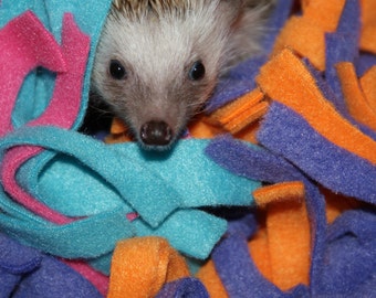 Cuddle Buddy's  for Hedgehogs and other Small Animals