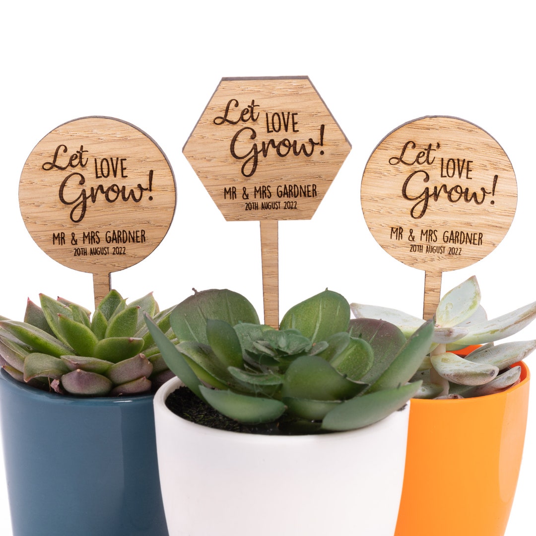 Targhette In Legno Personalizzate "Let Love Grow" Per Piante Grasse – 60 Pezzi, Incise Al Laser, 78x31 Mm, Spessore 3 Mm - 4