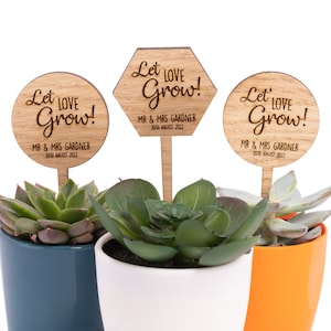 Pali per piante in legno personalizzati, bomboniere uniche per cactus e piante grasse