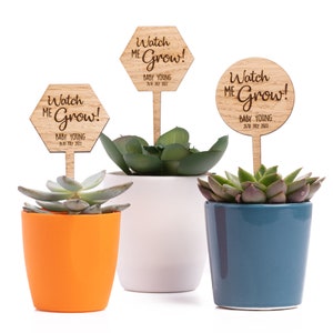 Bomboniere personalizzate per baby shower - Picchetti in legno per piante "Watch Me Grow"