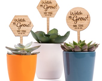 Personalised Baby Shower Favours - "Watch Me Grow" Wooden Plant Stakes