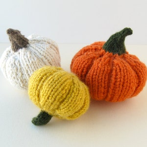 Thanksgiving Pumpkins: Set of 3