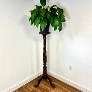 May include: A dark brown wooden plant stand with a twisted column and three legs. A green plant in a black pot sits on the top of the stand.