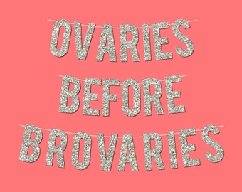 Silver Sparkly "OVARIES BEFORE BROVARIES" Galentine's Day Banner - Digital Printable Instant Download