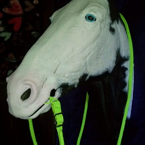 May include: A white and black horse head model with a bright green rope halter. The horse has a blue eye.