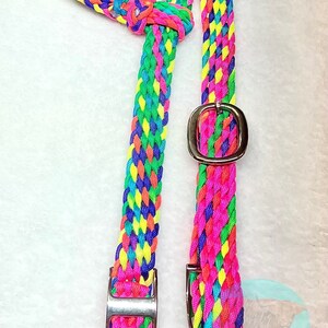 May include: A colorful braided halter in a vibrant mix of pink, green, yellow, and blue. The halter features metal buckles and a knotted design. The braided pattern is visible throughout the halter.