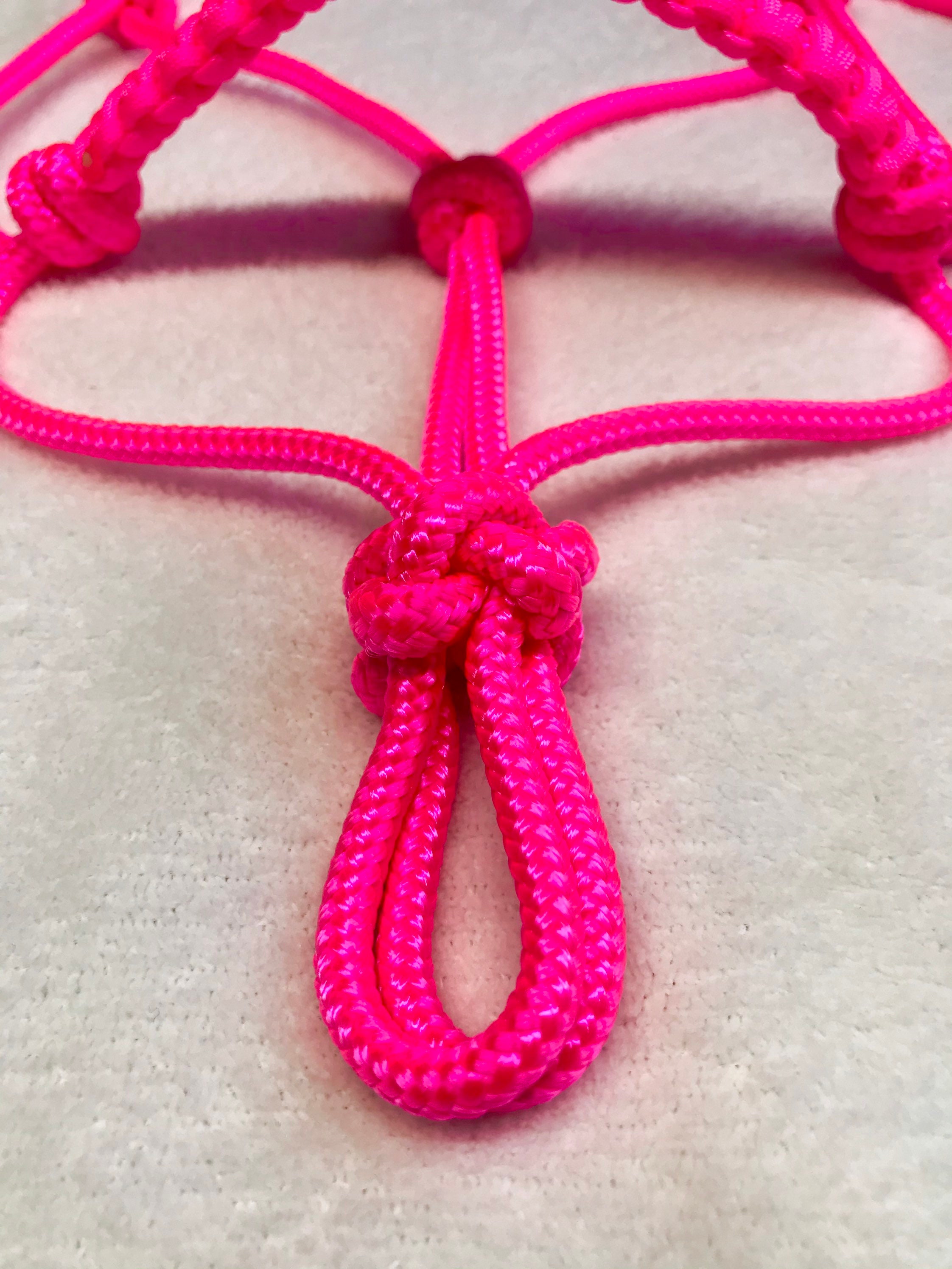 Neon Pink Miniature Horse HalterHorse HalterPony Etsy