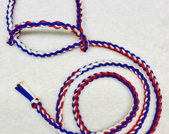 Red, White and Blue Goat/Sheep Halter & Lead,Goat Halter,Sheep Halter,Alpaca Halter,Calf Halter,Small Halter,Livestock,Pony,Gift